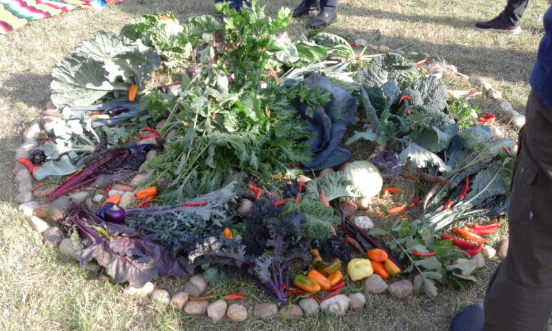Das traditionelle Gemüse-Mandala
